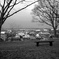monochrome‐bench