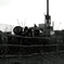 monochrome‐sawmill