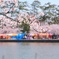 春祭り