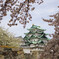名古屋城