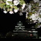 夜桜熊本城