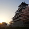 夕焼けの熊本城...桜とともに...