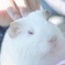 そこそこ
