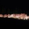夜桜