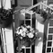 SDIM1181
