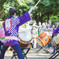 根津神社　つつじ祭りの一コマ