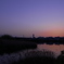 池の夕暮れ