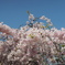DSCN0308