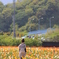 花と…