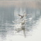 HS30_1659