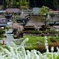 美山町かやぶきの里