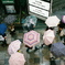雨花