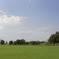 近くの公園