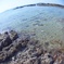 海