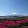 大石公園からの富士山⑥