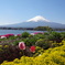 大石公園からの富士山⑧