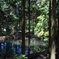 怪しい山道登ったった3