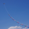 青空に舞う