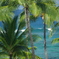 KONA Kahaluu Beach