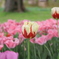 ●IMG_0619
