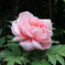 ●IMG_0644
