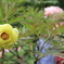 ●IMG_0646