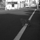 日常の猫_