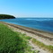 海と緑