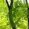 IMGP0920