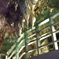 P2029727