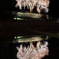 クラゲ桜2013