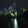 _IGP0453