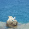 photo_251800