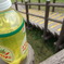 photo_251812