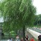 photo_251816