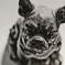 dog　自宅