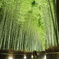嵐山花灯路2012