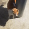 陽だまり。