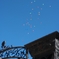 Balloon Shower