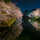 弘前公園・杉の大橋から