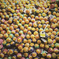 clumps of chupa chups..