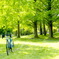 three trees