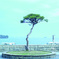 tohoku01
