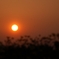 夕日