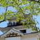 観光地01