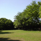 W61Sで公園の緑