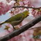 びよーん
