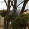DSC00380