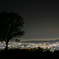 若草山の夜景