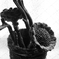dried flower